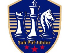 Sah Puf Junior - Cursuri de sah